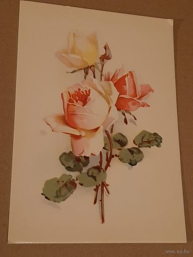 Открытка Цветок Розы Эстония Таллин Тип. Октообер 1970 г. Чистая