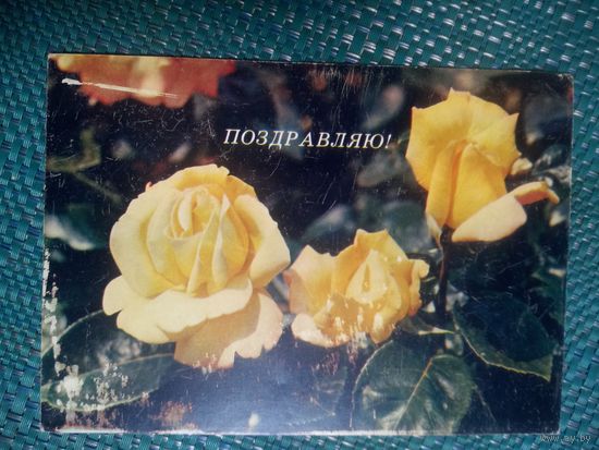Открытка. Поздравляю! Фото Смоляков. 1985 год