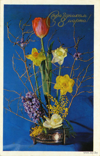 Открытка "С праздником 8 Марта !" (нарциссы, тюльпан, мимоза). Фото Б.Столярова, 1974, изд."Планета", чистая