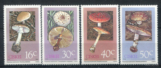 Сискей - 1988г. - Грибы - полная серия, MNH [Mi 145-148] - 4 марки