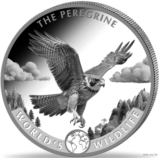 Конго 20 франков 2024 Сокол-Сапсан Дикая природа Серебро 9999
