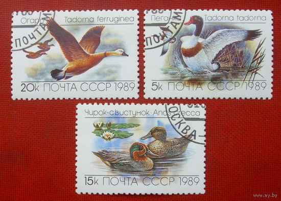 СССР. Утки. ( 3 марки ) 1989 года.