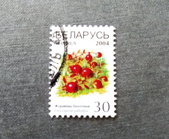 Марка Беларусь 2004 год Ягоды