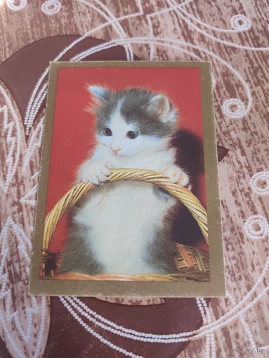 Календарик,котик,1996