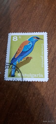 Болгария. Птицы. Coracias garrulus. Марка из серии