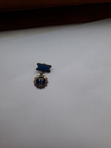 Нагрудный знак Национальная ассоциация объединений офицеров запаса ВС ( МЕГАПИР)
