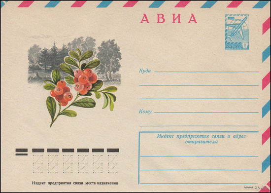 Художественный маркированный конверт СССР N 12835 (18.05.1978) АВИА  [Брусника]