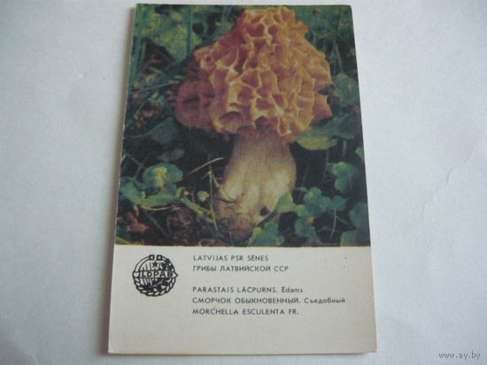 Календарик. ГРИБЫ  Лат.ССР.