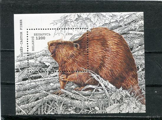 Беларусь 1996. Фауна. Европейский бобер. Блок