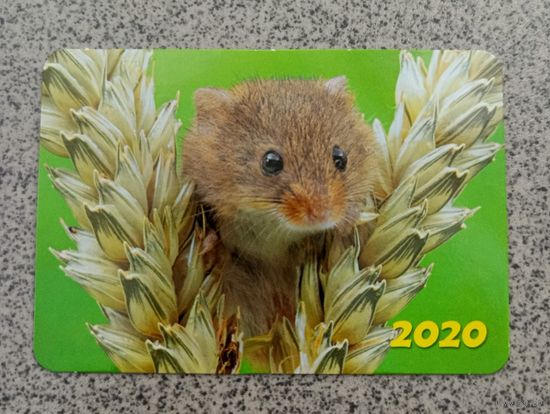 Календарик карманный мышь с колосками 2020