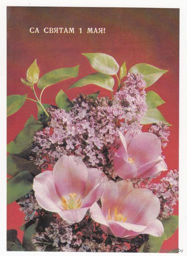 Открытка 1991 (176)