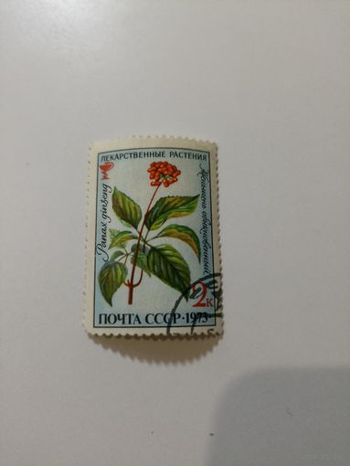 Лекарственные растения Женьшень обыкновенный 1973 год