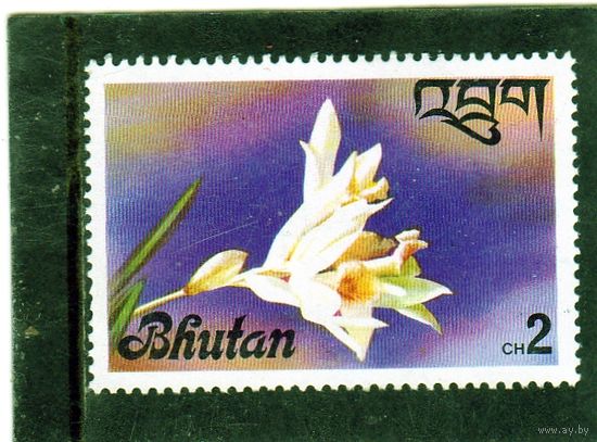 Бутан. Mi:BT 670. Орхидея Tunaia alba. Серия: Орхидеи. 1976.