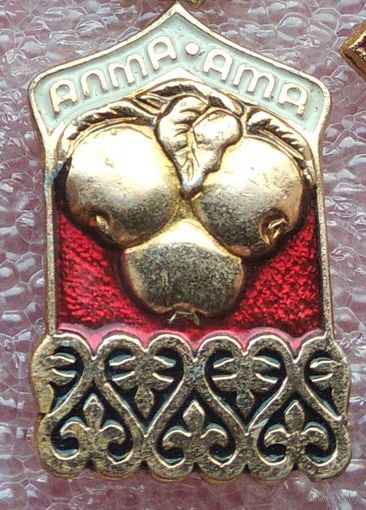 Алма ата  1-1