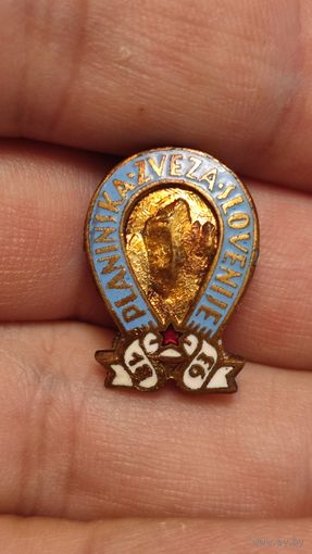 Значек знак Альпинистская ассоциация Федерация Словения тяжелый