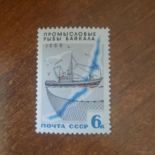 СССР 1966. Промысловые рыбы Байкала. Марка из серии
