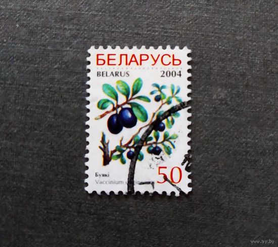 Марка Беларусь 2004 год Ягоды