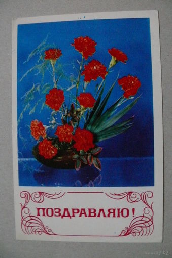 Егорова З., Шамшин К.(фото), Поздравляю! 1974, чистая.