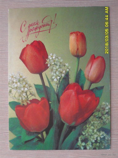 ЧИСТАЯ ПОЧТОВАЯ ОТКРЫТКА "С ДНЕМ РОЖДЕНИЯ" 1991г.фото.И.ДЕРГИЛЕВА.ТЮЛЬПАНЫ. ФЛОРА.ЦВЕТЫ.