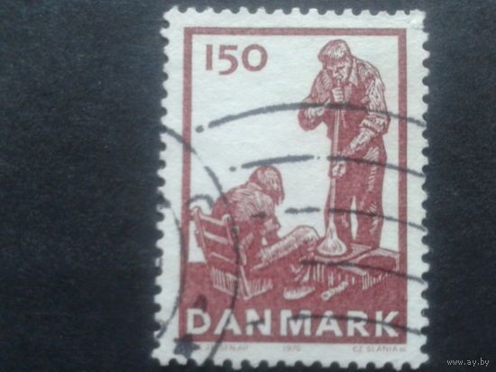 Дания 1976 работа