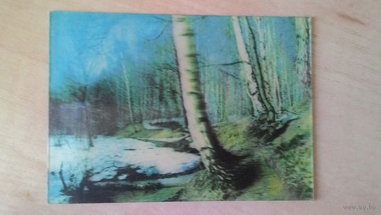 Стереооткрытка "Весенний лес".