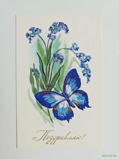 Шмелева ( Линде) 1979  Поздравляю