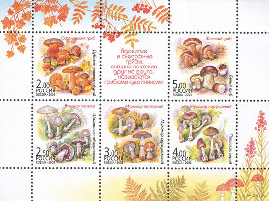 Россия 2003 Грибы (МЛ) ** флора