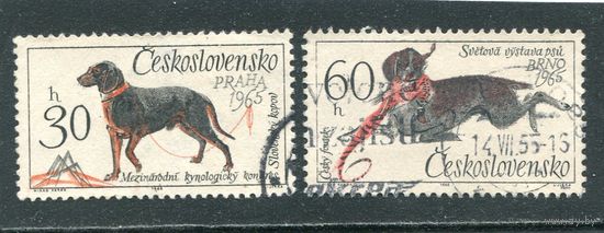 Чехословакия. Породы собак