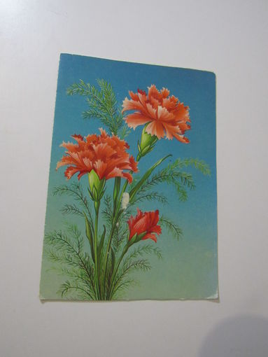 С днём рождения. худ. Коробова. 1987 г. Подписан. Двойная.