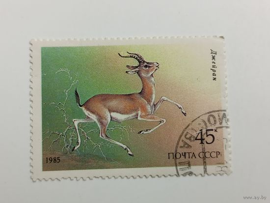 1985 СССР. Животные под защитой. Фауна. Джейран
