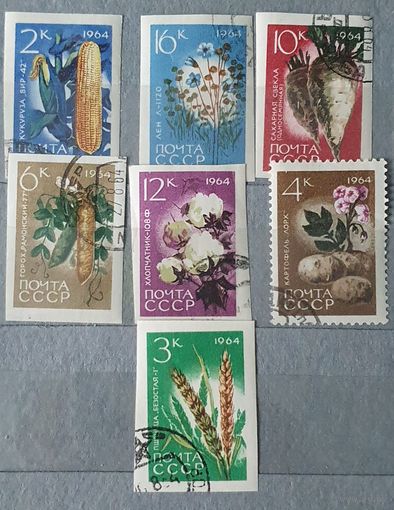 СССР овощи 7шт