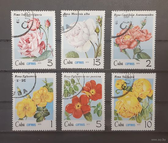 Куба. 1979 год. Флора. Цветы. Розы