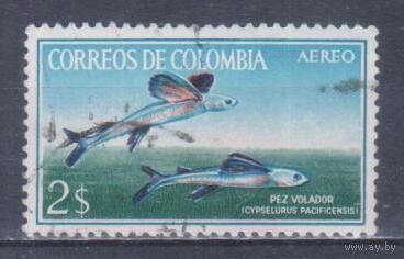 [206] Колумбия 1966. Фауна.Рыбы. Гашеная марка.