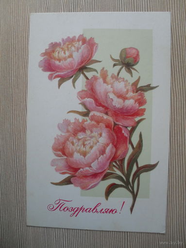 ПОДПИСАННАЯ ОТКРЫТКА. СССР. "ПОЗДРАВЛЮ" худ. Б. ГРУН. 1978 год.