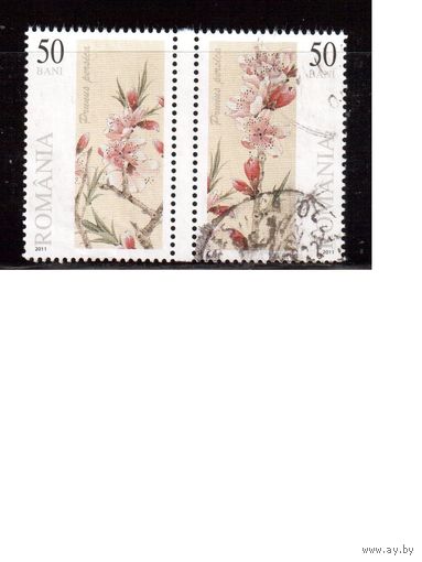 Румыния-2011(Мих.6537-6538) ,  гаш. , Флора, Цветы,(1)