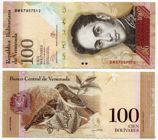 Венесуэла. 100 боливаров (образца 2013 года, P93g, UNC)