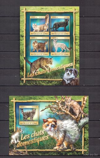 Гвинея 2016 Фауна домашние кошки - 1 лист + 1 блок MNH**