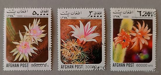 Кактусы. Афганистан,1999