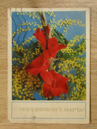 ПОДПИСАННАЯ ОТКРЫТКА ПРОШЕДШАЯ ПОЧТУ "С ПРАЗДНИКОМ 8 МАРТА." фото. Г. КОСТЕНКО. 1975 ГОД.
