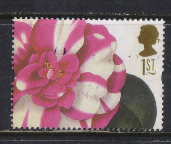 Великобритания 1997 Цветы Китайская роза #1669