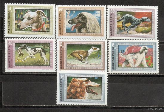 ФФ1 Венгрия 1972 Собаки