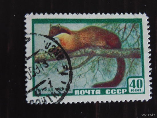 СССР 1959 г. Куница харза.