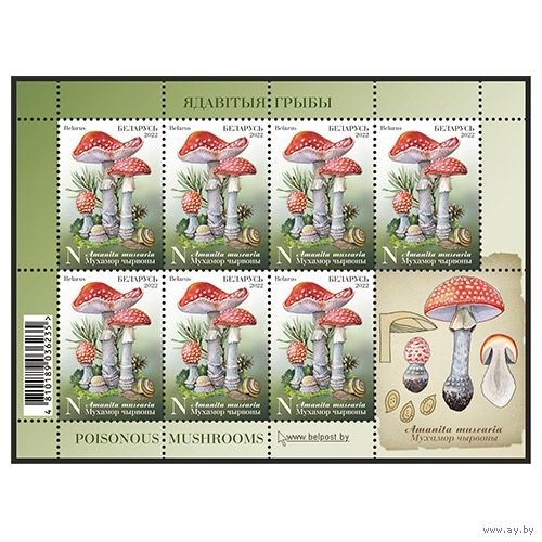 2022 БЕЛАРУСЬ  Малый лист "Мухомор красный" MNH