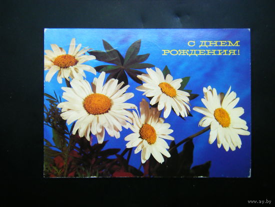 Открытка 1989г. из СССР.