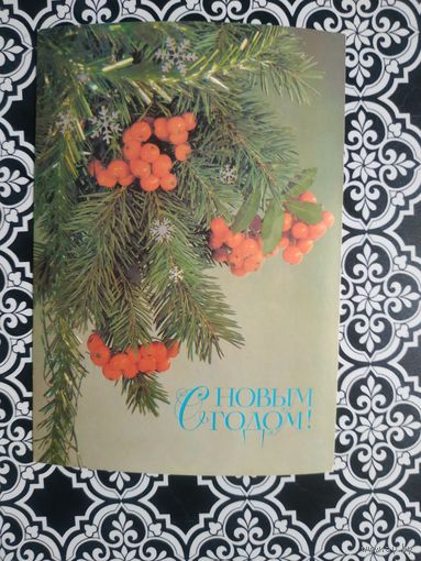 Открытка СССР 1987 год. Чистая. И.Дергилев. Состояние на скане.