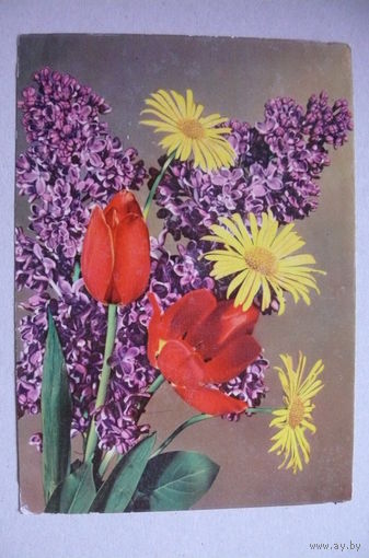Цветы; 1966, подписана (ГДР).