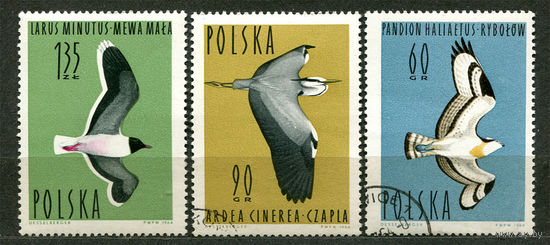 Водоплавающие птицы. Польша. 1964
