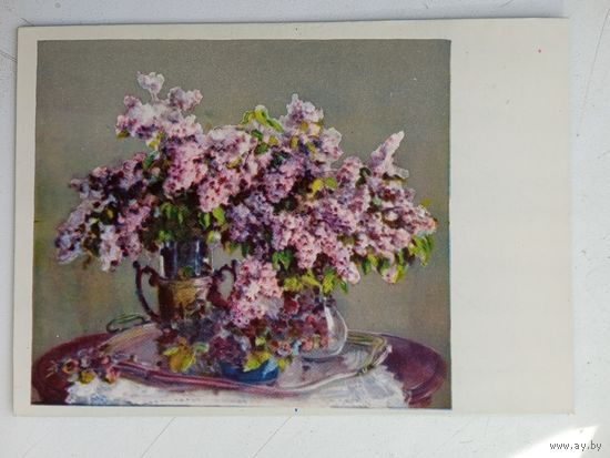 1959. Уханова. Сирень
