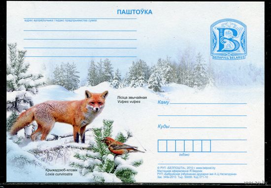 Беларусь 2010. ПК. Фауна. Лисица