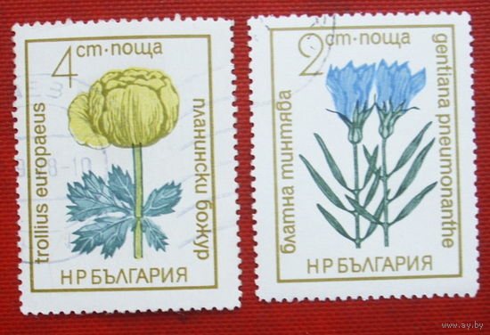 Болгария. Цветы. Флора. ( 2 марки ) 1972 года. 10-20.